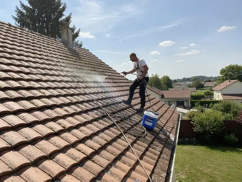 Démoussage toiture fréquence - Isère